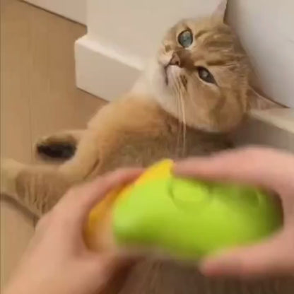 Escova a Vapor para Remoção de Pelos de Cães e Gatos